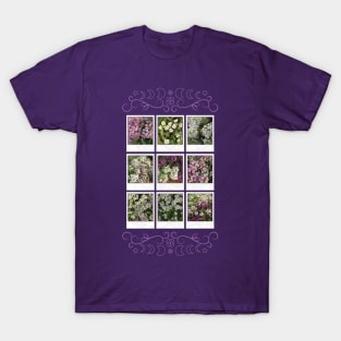 Assylum Photo Collection [full set bundle 2] T-Shirt